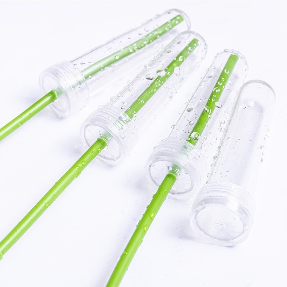 Nutrition & Fitness Hub Photos - 100Pcs Transparent Plastic Flower Preservation Pipe