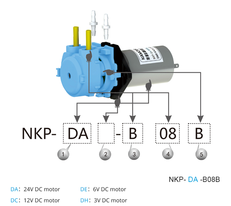 2026 new NKP 6V 12V 24V DC mot - Nutrition & Fitness Hub Photos recension och pris