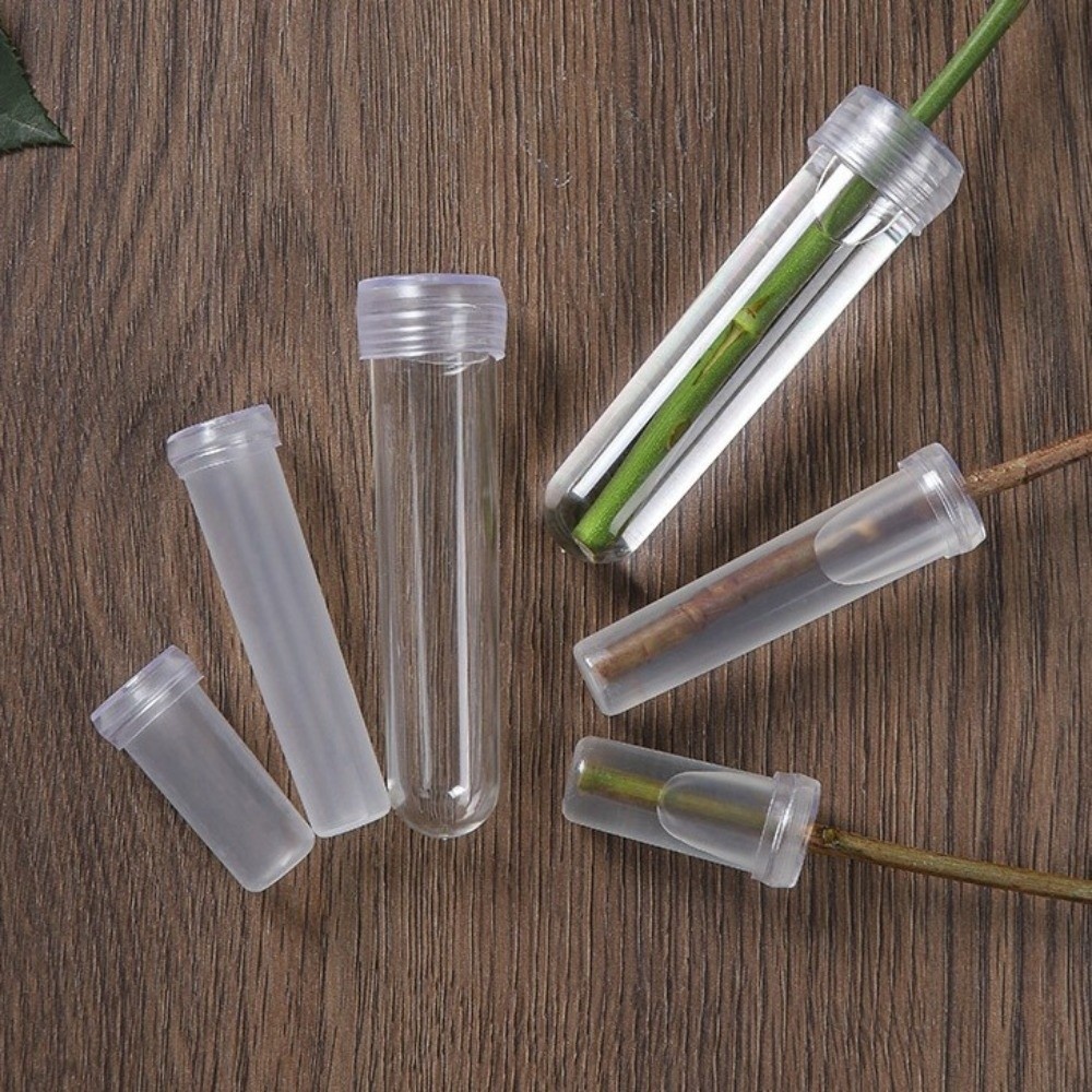 100Pcs Transparent Plastic Flo - Nutrition & Fitness Hub Photos recension och pris