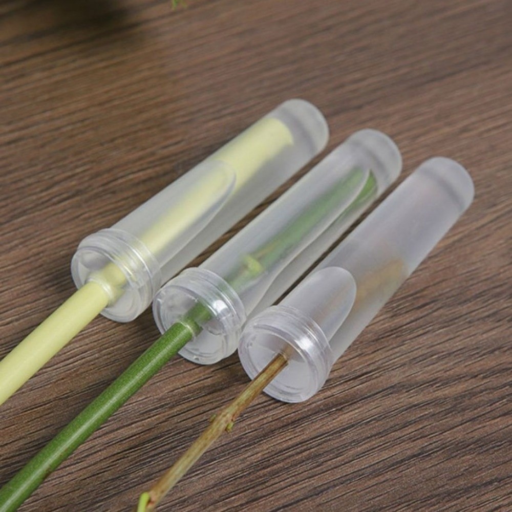 100Pcs Transparent Plastic Flo - Nutrition & Fitness Hub Photos recension och pris