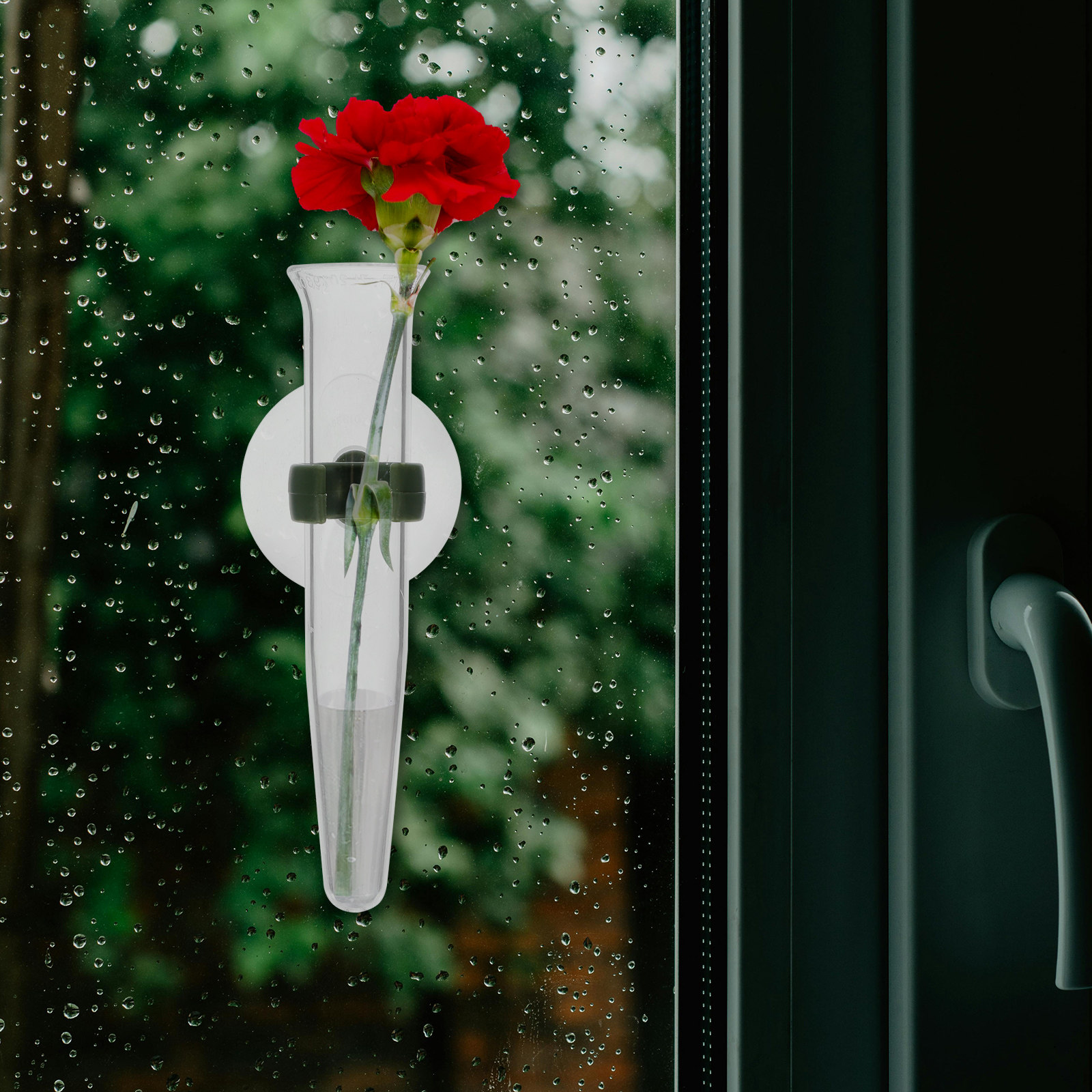 8Pcs Flower Hose Storage Silic - Nutrition & Fitness Hub Photos recension och pris